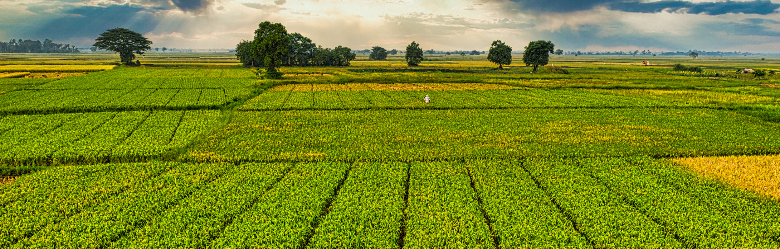 agriculture equipment
